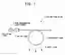 Fig. 02 - White light-emitting device using fluorescent fiber