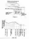 Fig. 12 - Information storage medium and information recording/playback system