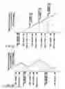 Fig. 16 - Information storage medium and information recording/playback system