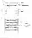 Fig. 01 - Method and system for loading substrate supports into a substrate holder