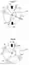 Fig. 08 - Rotor drive controlling unit and an image formation apparatus