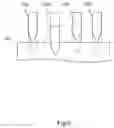 Fig. 07 - Imaging apparatus
