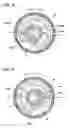 Fig. 04 - Pump