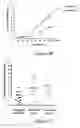 Fig. 05 - Non-invasive assay for the assessment of functioning and/or structure of the gut