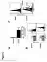 Fig. 02 - Methods and compositions for the treatment of persistent infections