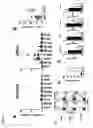 Fig. 05 - Methods and compositions for the treatment of persistent infections