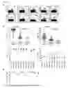 Fig. 06 - Methods and compositions for the treatment of persistent infections