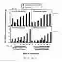 Fig. 02 - Chimeric cytokine of IL-7 and beta-chain of HGF and methods of use