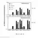 Fig. 06 - Chimeric cytokine of IL-7 and beta-chain of HGF and methods of use