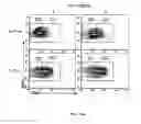 Fig. 22 - Chimeric cytokine of IL-7 and beta-chain of HGF and methods of use