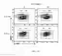 Fig. 23 - Chimeric cytokine of IL-7 and beta-chain of HGF and methods of use