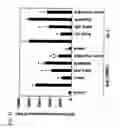 Fig. 31 - Chimeric cytokine of IL-7 and beta-chain of HGF and methods of use