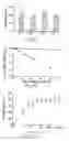 Fig. 06 - Method for regulating neuron development and maintenance