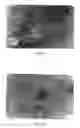 Fig. 08 - Method for regulating neuron development and maintenance