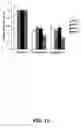 Fig. 02 - Replication competent viruses capable of silencing virus inhibitory factor expression