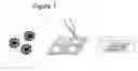 Fig. 02 - Stage specific follicle maturation systems