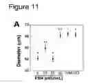 Fig. 12 - Stage specific follicle maturation systems