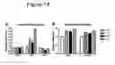 Fig. 16 - Stage specific follicle maturation systems