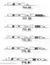 Fig. 16 - Compositions and methods for non-targeted activation of endogenous genes