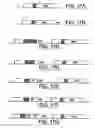 Fig. 28 - Compositions and methods for non-targeted activation of endogenous genes