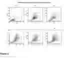 Fig. 05 - Immunophenotype and immunogenicity of human adipose derived cells
