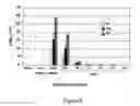 Fig. 07 - Immunophenotype and immunogenicity of human adipose derived cells