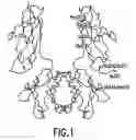 Fig. 02 - Molecules with extended half-lives, compositions and uses thereof