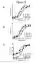 Fig. 32 - Optimized proteins that target Ep-CAM