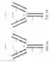 Fig. 02 - Compounds, Compositions and Methods for the Endocytic Presentation of Immunosuppressive Factors