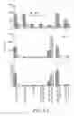 Fig. 14 - Compounds, Compositions and Methods for the Endocytic Presentation of Immunosuppressive Factors