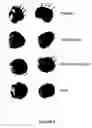 Fig. 07 - Influenza vaccine compositions and methods of use thereof