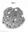 Fig. 02 - Shaped bodies and methods for their production and use