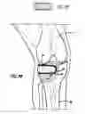 Fig. 08 - Shaped bodies and methods for their production and use