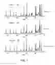 Fig. 02 - Fluocinolone acetonide drug substance polymorphic interconversion