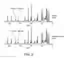 Fig. 03 - Fluocinolone acetonide drug substance polymorphic interconversion