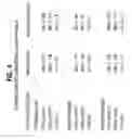 Fig. 04 - Nanoparticulate insulin