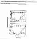 Fig. 06 - (Poly(acryloyl-hydroxyethyl starch)-plga composition microspheres