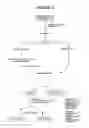 Fig. 07 - Plant extracts and dermatological uses thereof