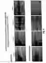 Fig. 07 - Formulations containing astragalus extracts and uses thereof
