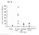 Fig. 05 - Composition comprising the extract of actinidia arguta and related species for the prevention and treatment of allergic disease and non-allergic inflammatory disease