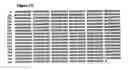 Fig. 09 - Method of using lipid acyltransferase