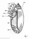 Fig. 02 - Durum wheat pasta with high alimentary bran content and process for the production thereof