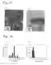 Fig. 11 - Nanomaterials of composite metal oxides