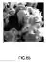 Fig. 46 - Coated silver-containing particles, method and apparatus of manufacture, and silver-containing devices made therefrom