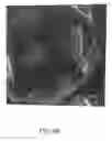 Fig. 49 - Coated silver-containing particles, method and apparatus of manufacture, and silver-containing devices made therefrom
