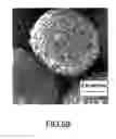 Fig. 52 - Coated silver-containing particles, method and apparatus of manufacture, and silver-containing devices made therefrom