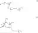 Fig. 05 - Amphiphilic polymeric coating