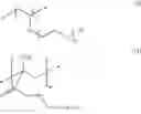 Fig. 20 - Amphiphilic polymeric coating