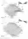 Fig. 06 - Multi-directional and variably expanded sheet material surfaces