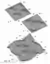Fig. 09 - Multi-directional and variably expanded sheet material surfaces
